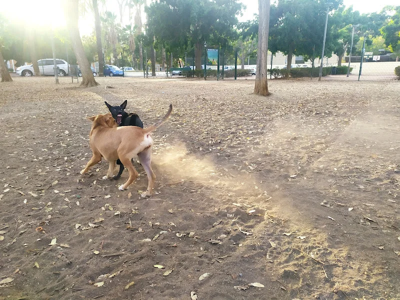Parque canino Miraflores